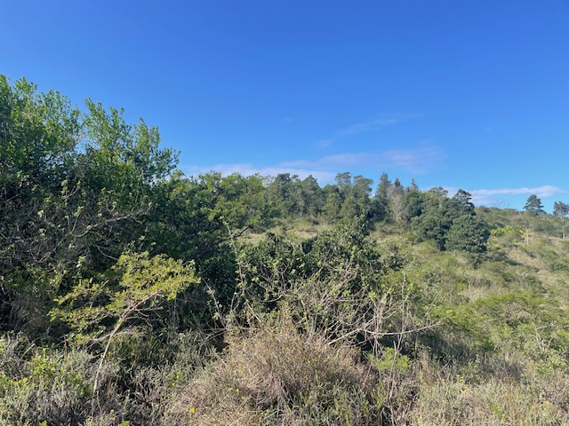 3 Bedroom Property for Sale in Summerpride Eastern Cape